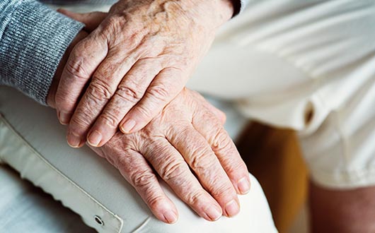 The team at Specialized Health Services provides guidance and support for individuals age 65+ looking to purchase Medicare Supplement products and Senior Support coverage.