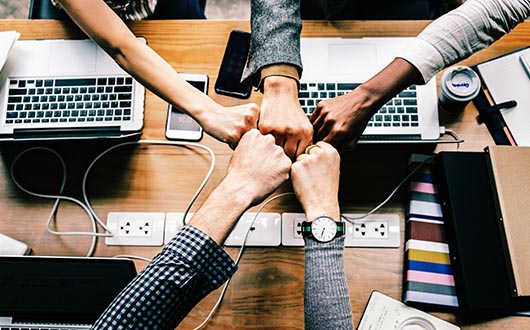 Are you looking for customized group health insurance solutions? Specialized Health Services is the right place!